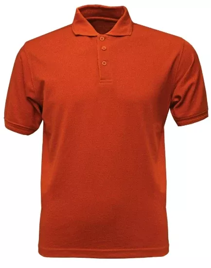 BAW ED52 | Polo | Adult BTS (Back-To-School)