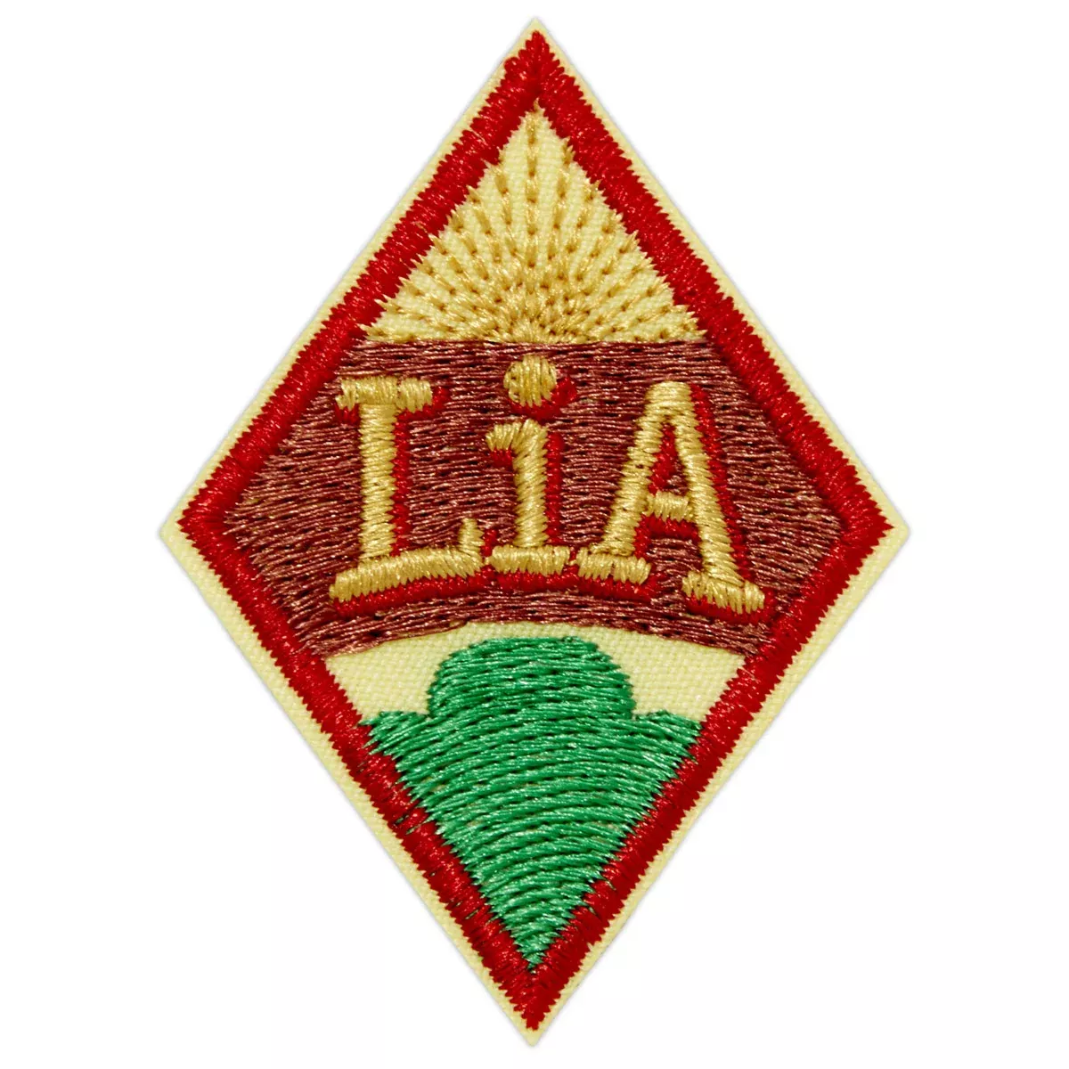 Girl Scouts Cadette Leader In Action (LiA) Journey Award