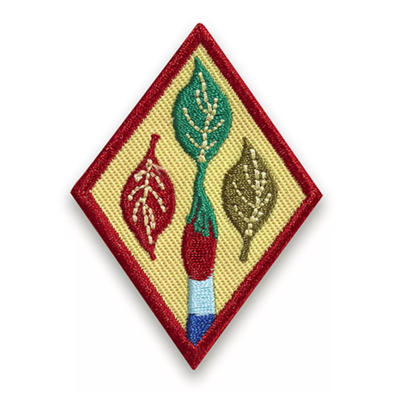 Girl Scouts Cadette Outdoor Art Apprentice Badge