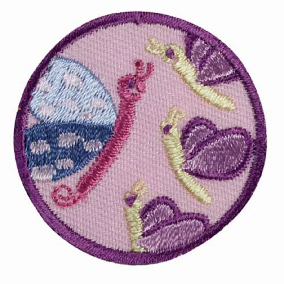 Girl Scouts Junior Social Butterfly Badge