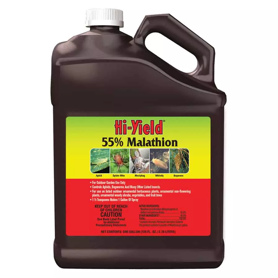 MALATHION SPRY 55%GAL