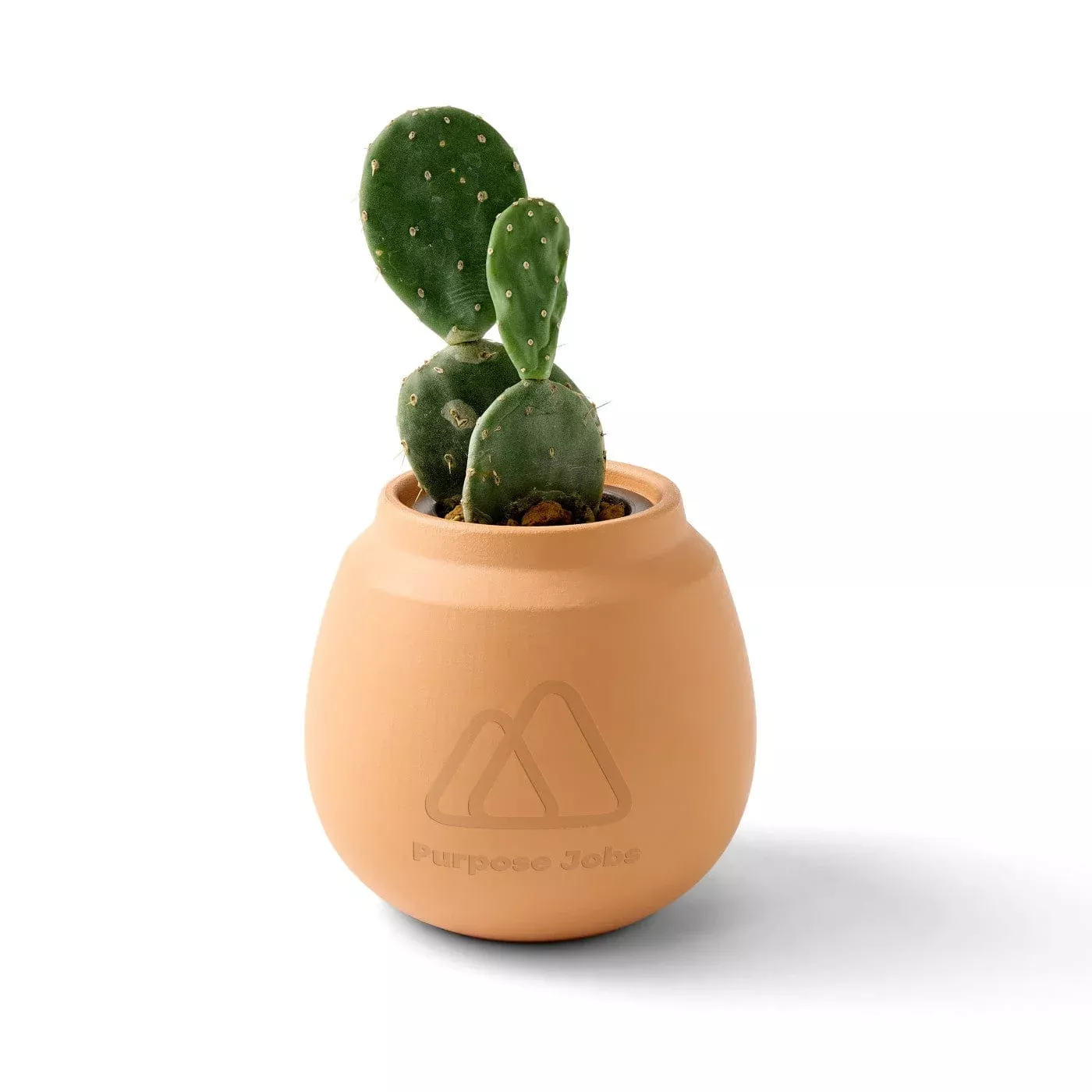 Modern Sprout - Modern Terracotta Grow Kit