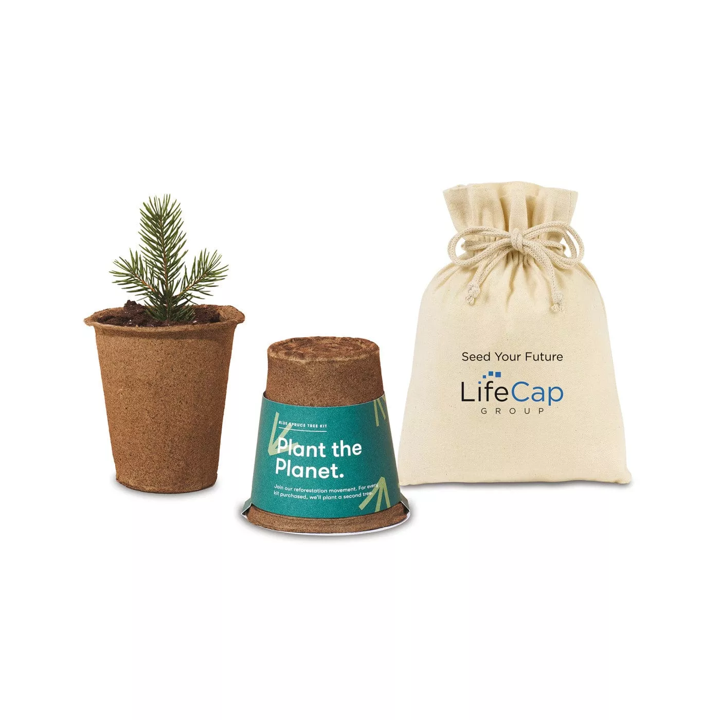 Modern Sprout - One For One Tree Kit