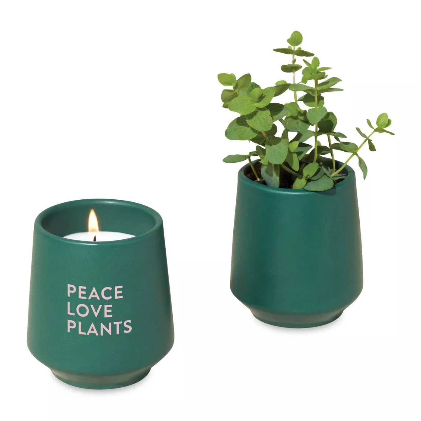 Modern Sprout - Rooted Candle
