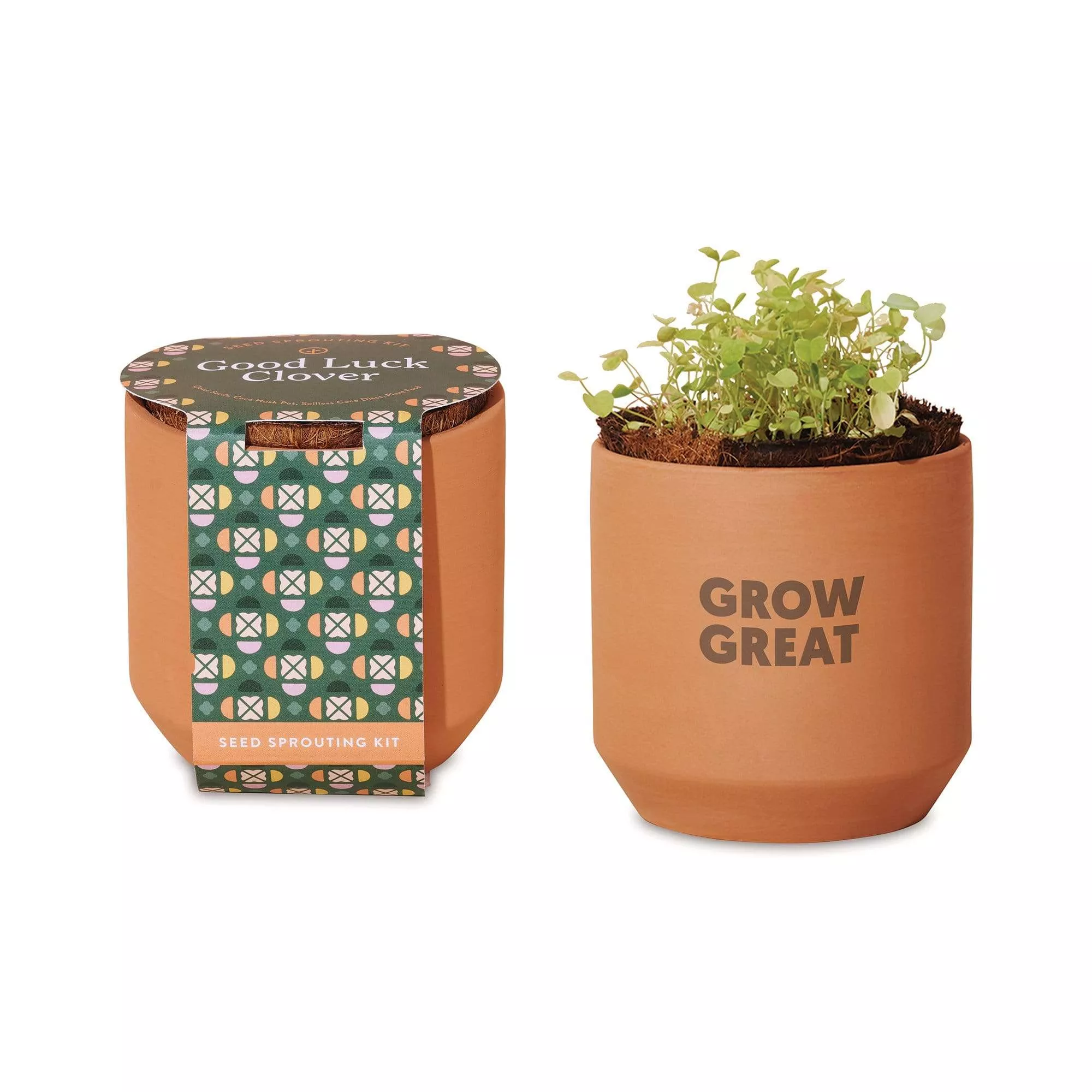 Modern Sprout - Tiny Terracotta Grow Kit