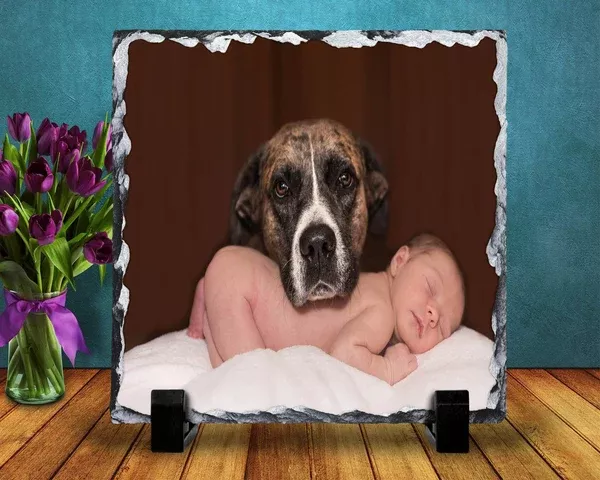 Personalized Photo Pet Slate Plaque , Custom Photo Pet Slate Plaque