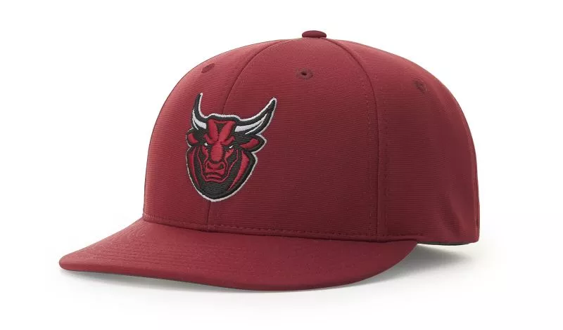 Richardson Cap PTS20 Pulse R-Flex Hat